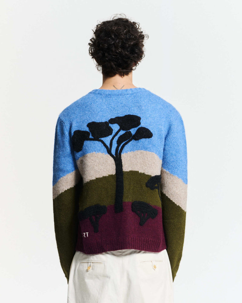 Baobab Cardigan