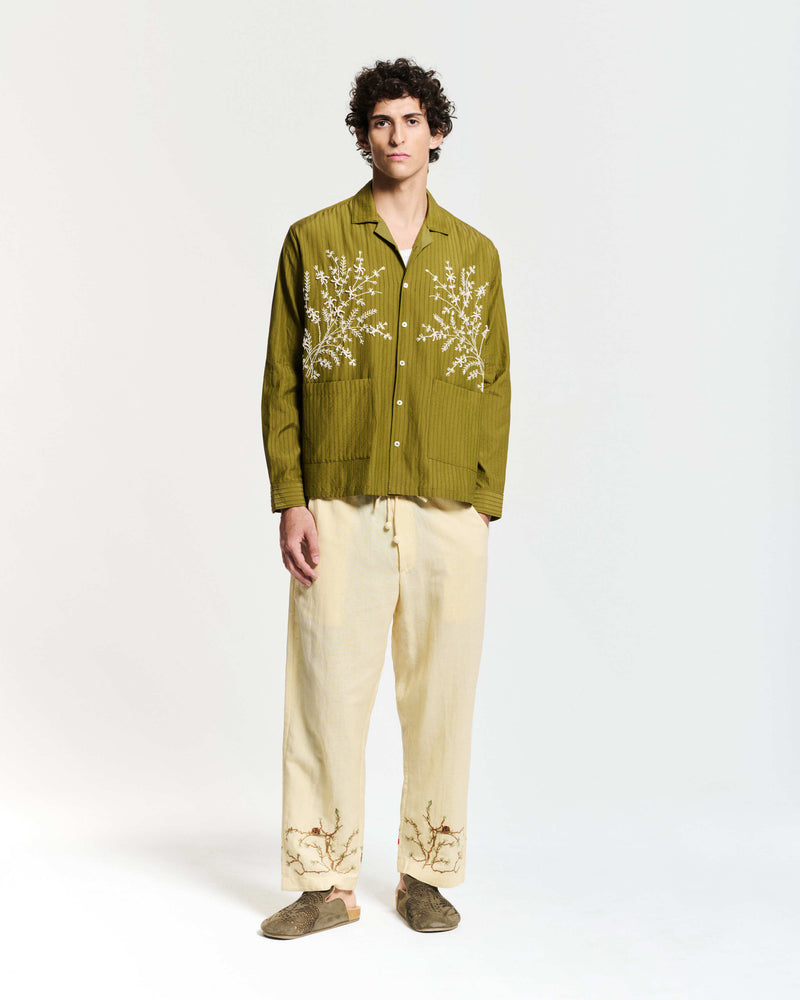 Avian Pants Beige