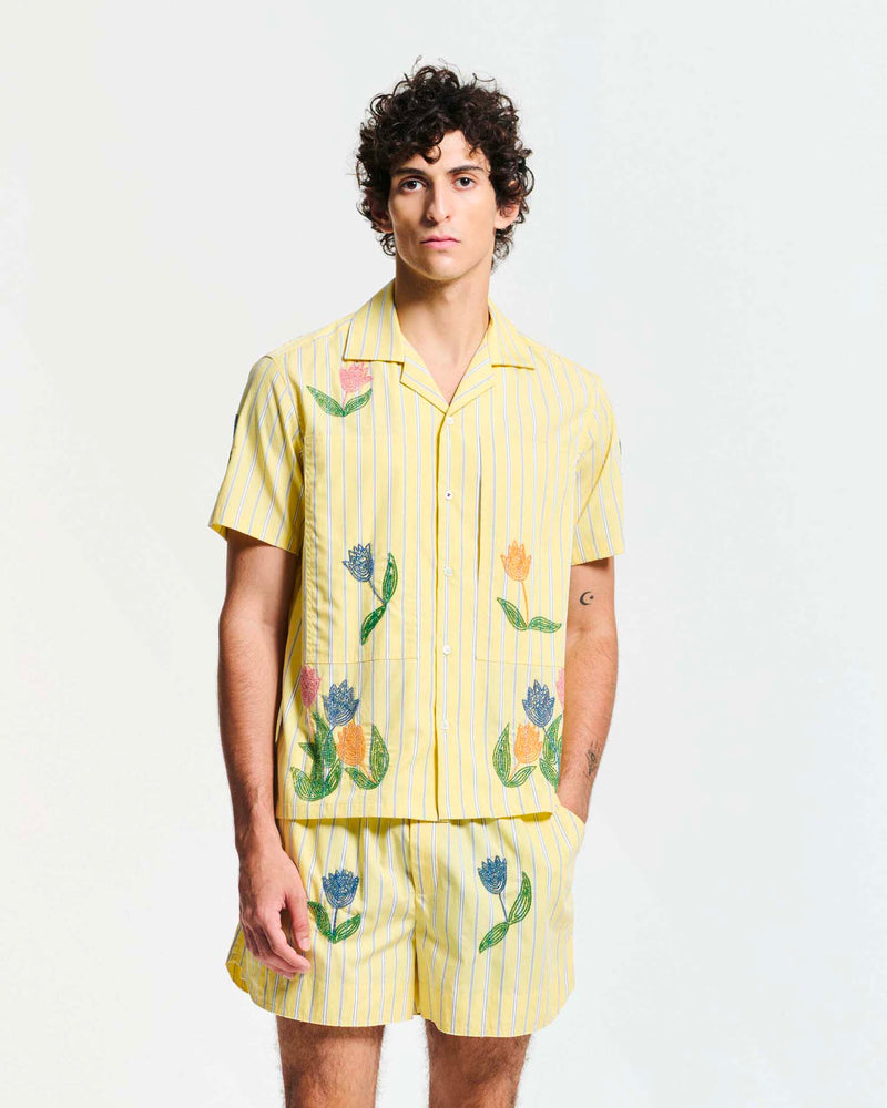 Tulip Shirt Light Yellow