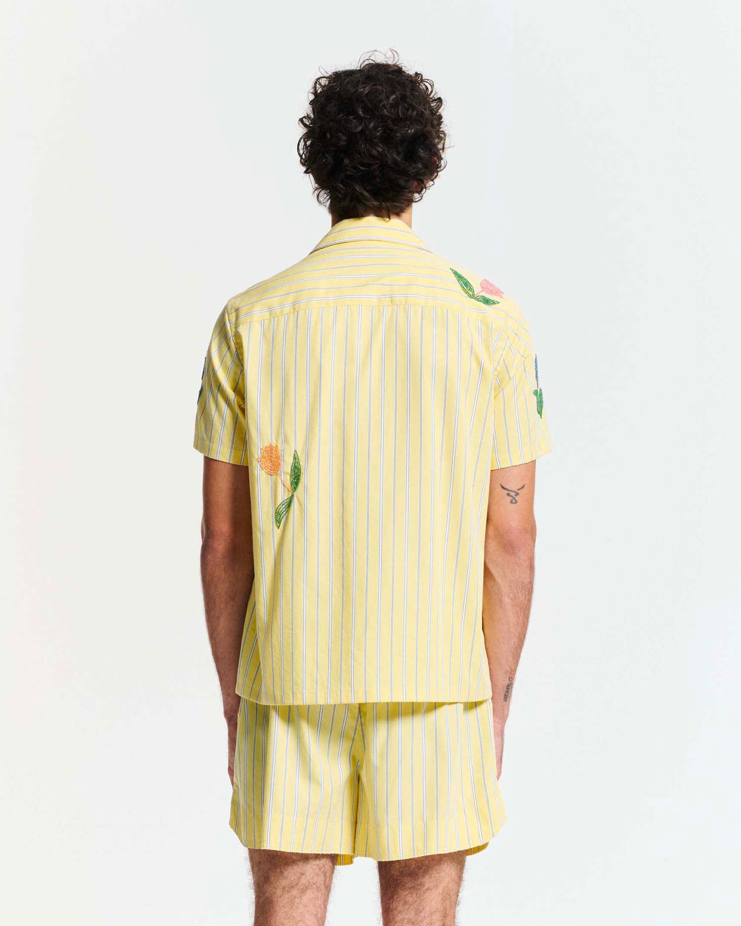 Tulip Shirt Light Yellow